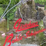 Maison d'hôtes Gaestehaus Behle-schaeperken Willingen (Upland)