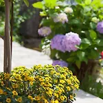 Gaestehaus Behle-schaeperken 3*