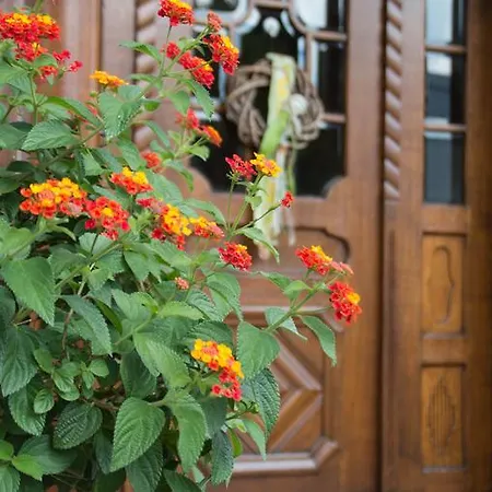 Casa de hóspedes Gaestehaus Behle-schaeperken