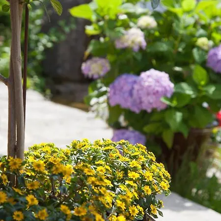 Gaestehaus Behle-schaeperken 3*