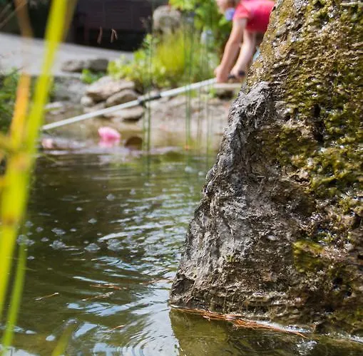Gaestehaus Behle-schaeperken Maison d'hôtes Willingen (Upland)