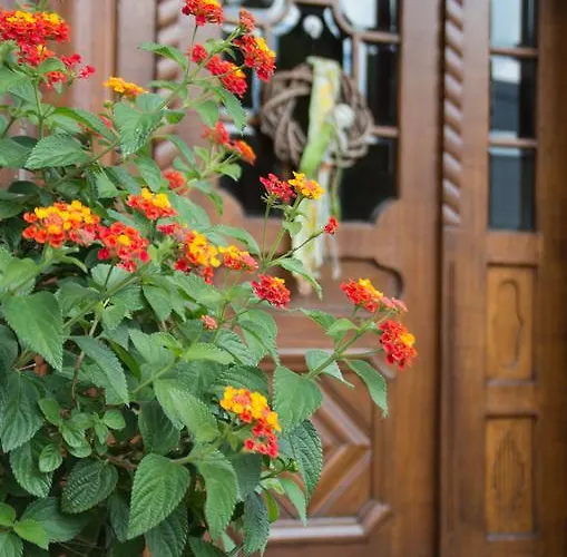 Maison d'hôtes Gaestehaus Behle-schaeperken